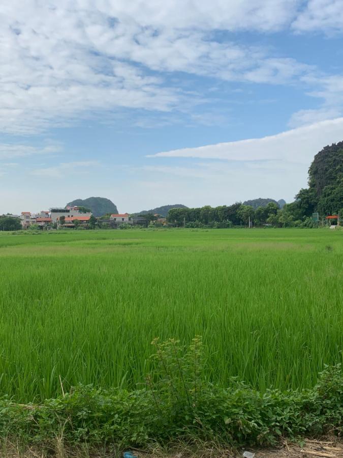 Tam Coc Wonderland Bungalow Ninh Binh Eksteriør bilde